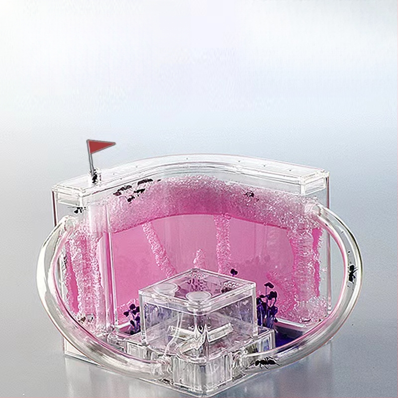 Mravlje farme za promatranje s hranilicom, baza vila, dizajn dvorca (Porijeklo: Drugo; Uvoz: Ne; Primjenjivo na: Drugo; Značka: Drugo)