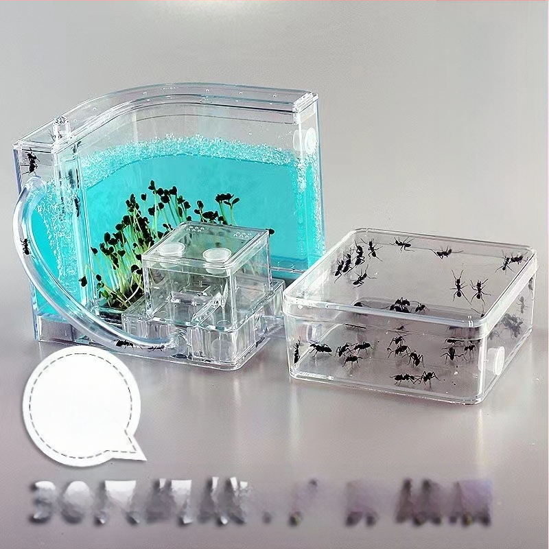 Mravlje farme za promatranje s hranilicom, baza vila, dizajn dvorca (Porijeklo: Drugo; Uvoz: Ne; Primjenjivo na: Drugo; Značka: Drugo)