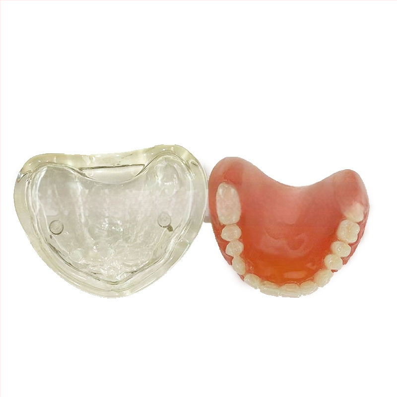 Prakses zobu implantāta modelis – augšžoklis un apakšžoklis, puse mute ar 2 vai 4 implantātiem