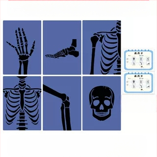 Jucărie educațională Montessori-Reggio cu lumină și umbră, inel DIY cu raze X, pentru sugari 0–3 ani, colț științific pentru fete