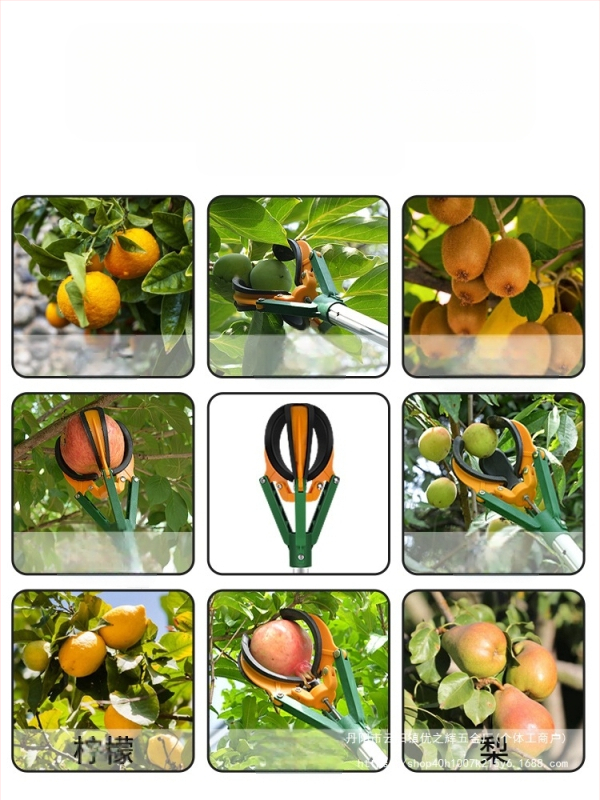  Vaisių rinktuvas su teleskopine lazda ir trim nagų laikikliais aukštoms šakoms