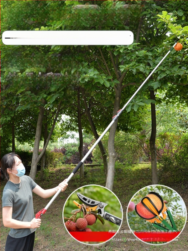  Vaisių rinktuvas su teleskopine lazda ir trim nagų laikikliais aukštoms šakoms