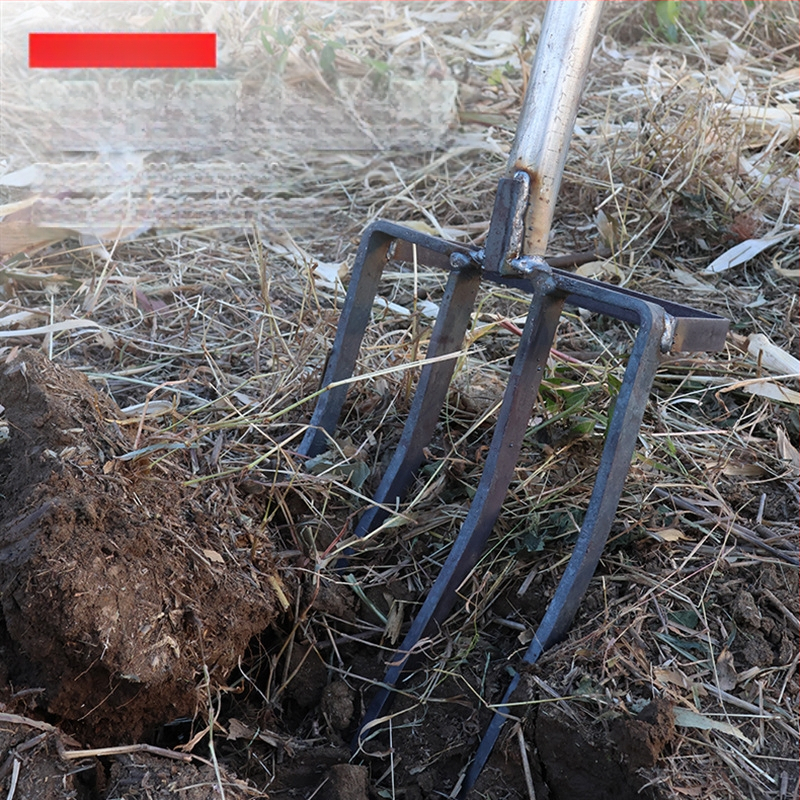 Keturių dantų mangano plieno žemės atlaisvinimo šakutė, viengubio integruoto dizaino, aukšta kietumas, skirta svogūnams, česnakams ir imbierui