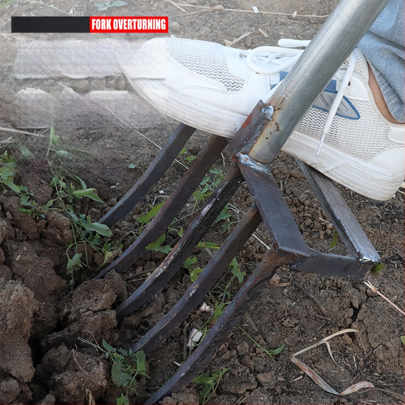 Keturių dantų mangano plieno žemės atlaisvinimo šakutė, viengubio integruoto dizaino, aukšta kietumas, skirta svogūnams, česnakams ir imbierui