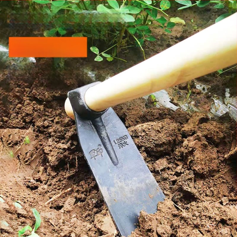 Sodo kaltas motyka plevelėms, daržovių augimui ir dirvos purninimui – kasimas ir purenimas