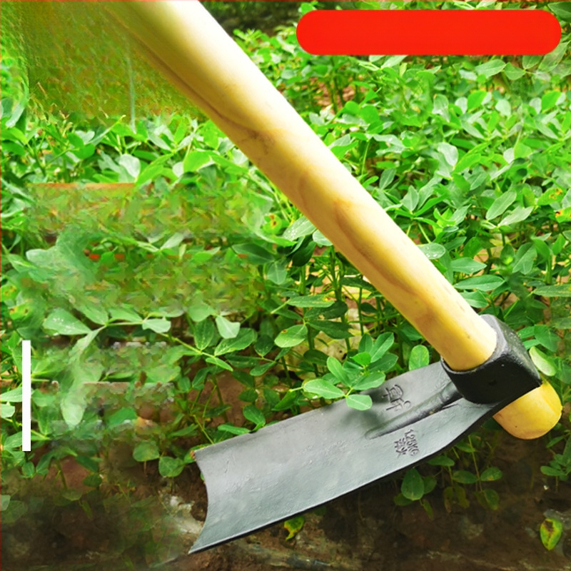 Sodo kaltas motyka plevelėms, daržovių augimui ir dirvos purninimui – kasimas ir purenimas