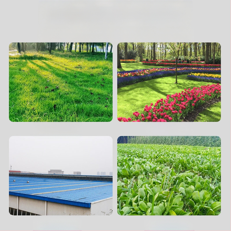 Lauko vejų laistymo sistema su automatiniu purškimu ir mikro purkštuvais, vandens vamzdis/žarna; Importuoti: Ne