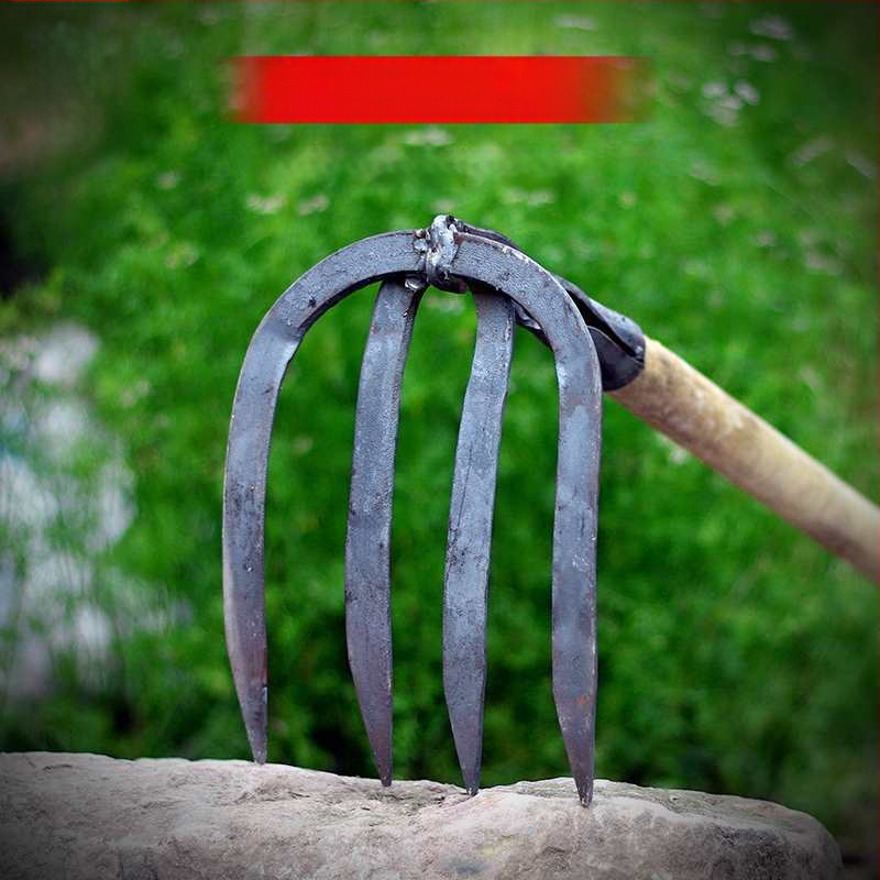 Keturių dantų kaltas plieninis grėblys daržo žemei laisvinti ir daržininkystei