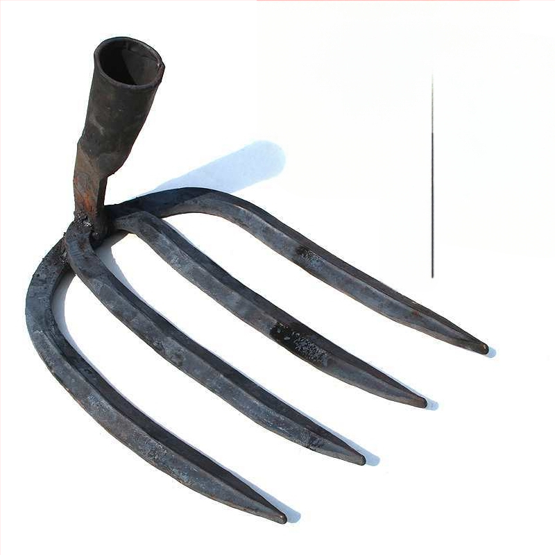 Keturių dantų kaltas plieninis grėblys daržo žemei laisvinti ir daržininkystei