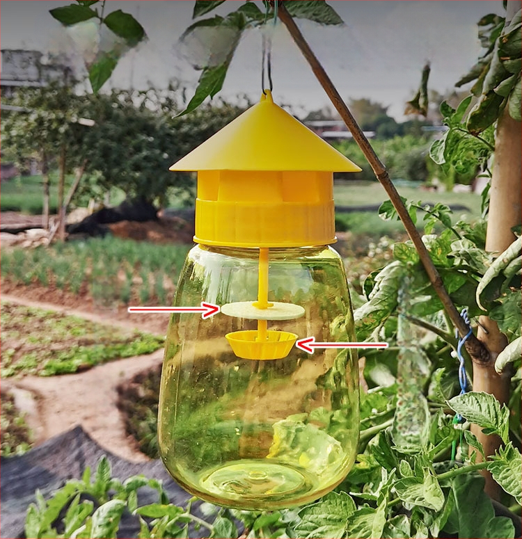 Vaisių musės gaudyklė sodams ir daržovių plotams su masalu ir gaudykle (Prekės ženklas: Other; Apdorojimas ir pritaikymas: Ne)