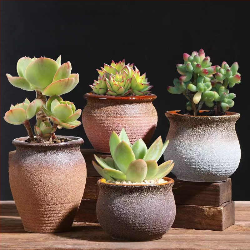 Keraminė sukulentų vaza, kvėpuojanti, stovinti ant grindų, modernus minimalistinis stilius