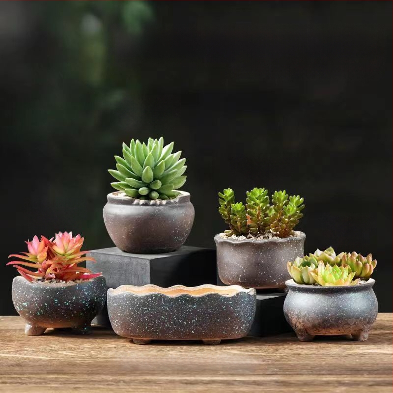 Keraminė sukulentų vaza, kvėpuojanti, stovinti ant grindų, modernus minimalistinis stilius