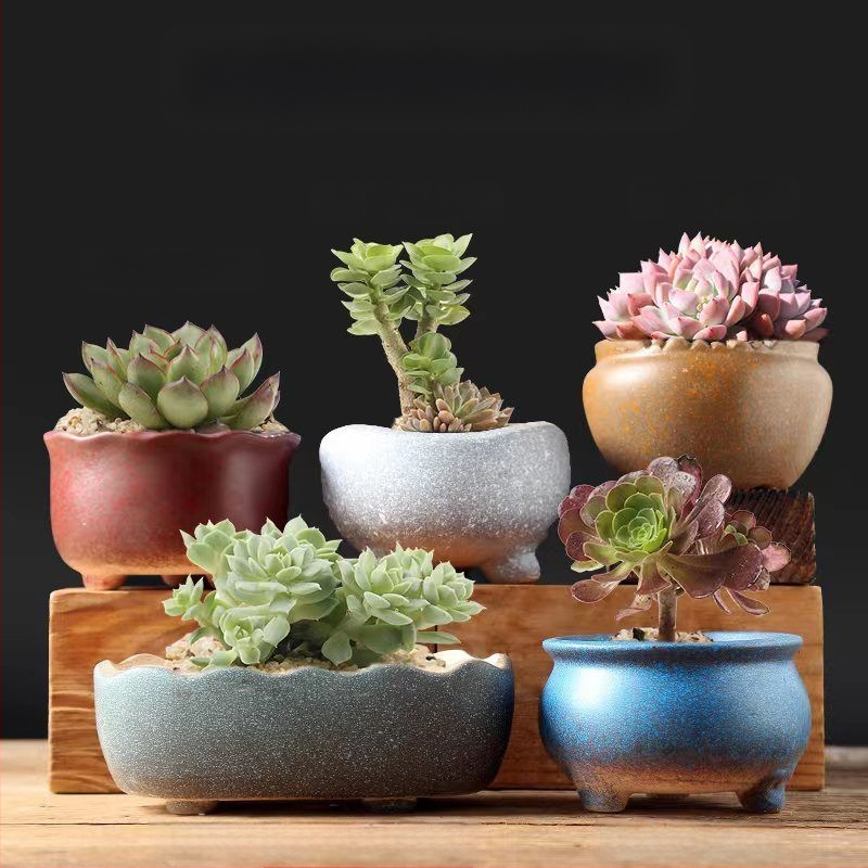 Keraminė sukulentų vaza, kvėpuojanti, stovinti ant grindų, modernus minimalistinis stilius