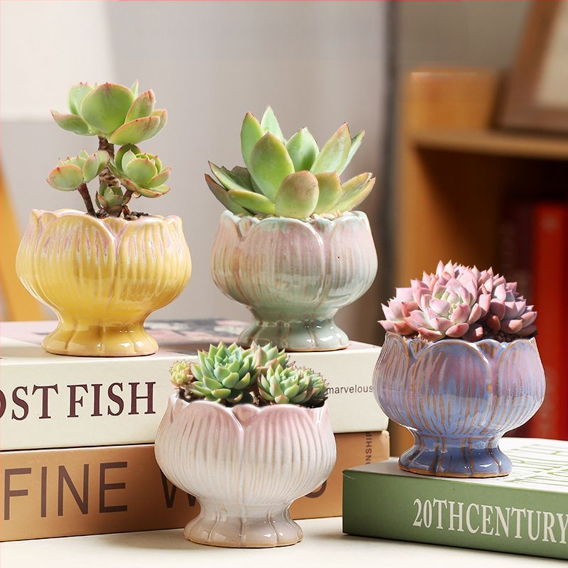 Keraminė sukulentų vaza, kvėpuojanti, stovinti ant grindų, modernus minimalistinis stilius