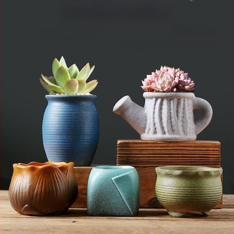 Keraminė sukulentų vaza, kvėpuojanti, stovinti ant grindų, modernus minimalistinis stilius