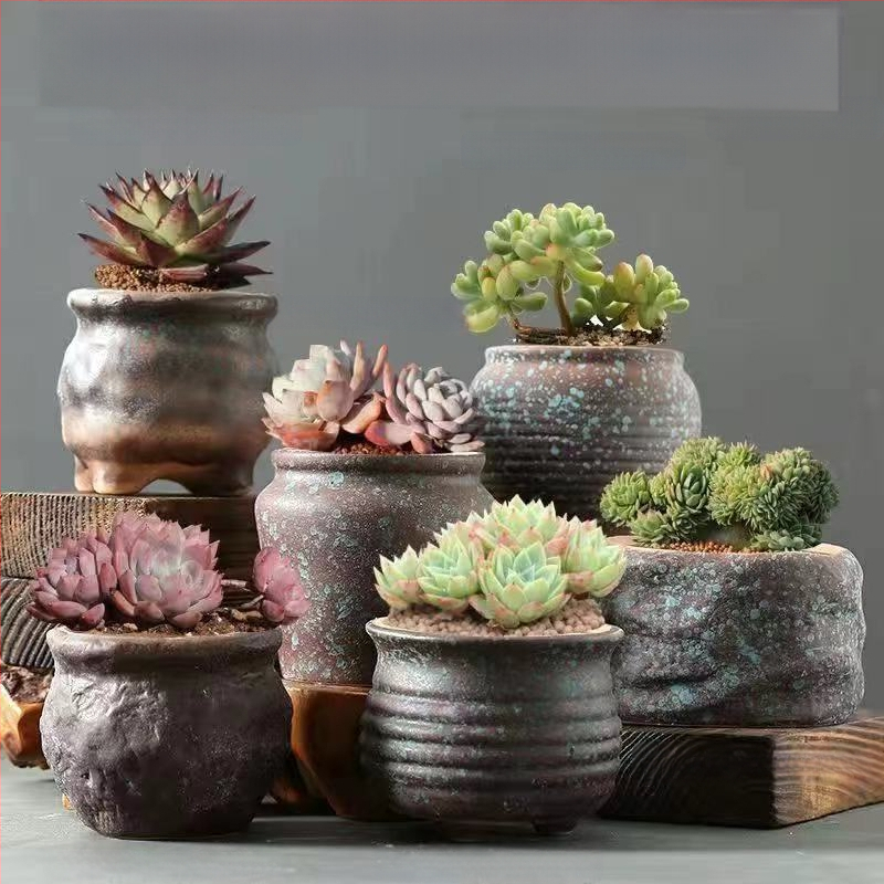 Keraminė sukulentų vaza, kvėpuojanti, stovinti ant grindų, modernus minimalistinis stilius