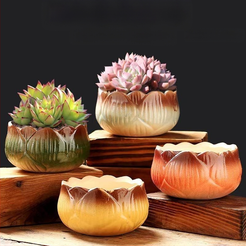 Keraminė sukulentų vaza, kvėpuojanti, stovinti ant grindų, modernus minimalistinis stilius