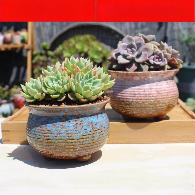 Keraminė sukulentų vaza, kvėpuojanti, stovinti ant grindų, modernus minimalistinis stilius