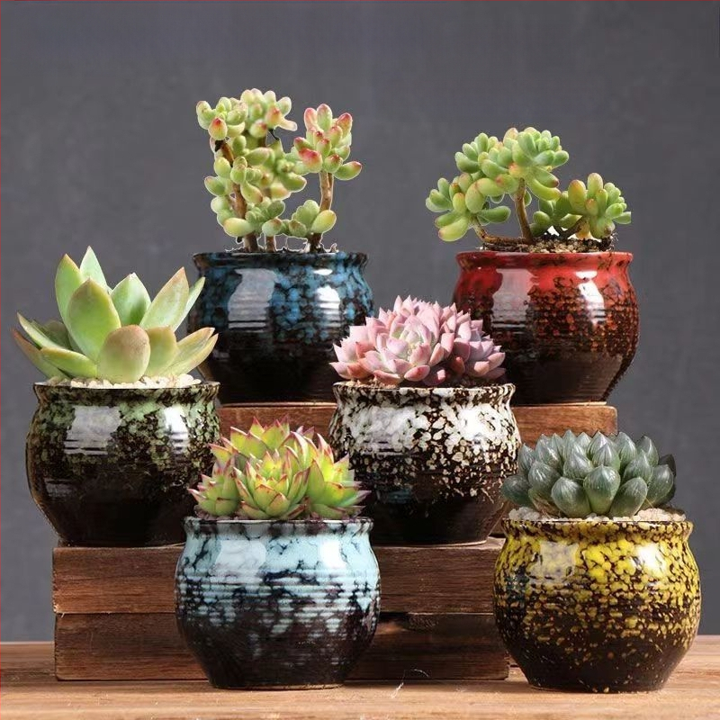 Keraminė sukulentų vaza, kvėpuojanti, stovinti ant grindų, modernus minimalistinis stilius