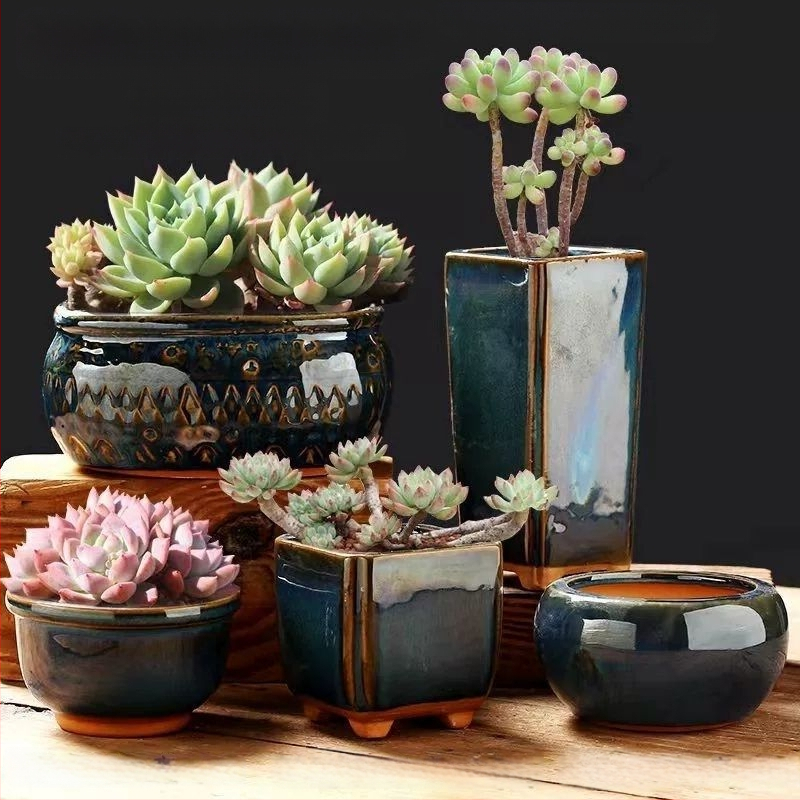 Keraminė sukulentų vaza, kvėpuojanti, stovinti ant grindų, modernus minimalistinis stilius