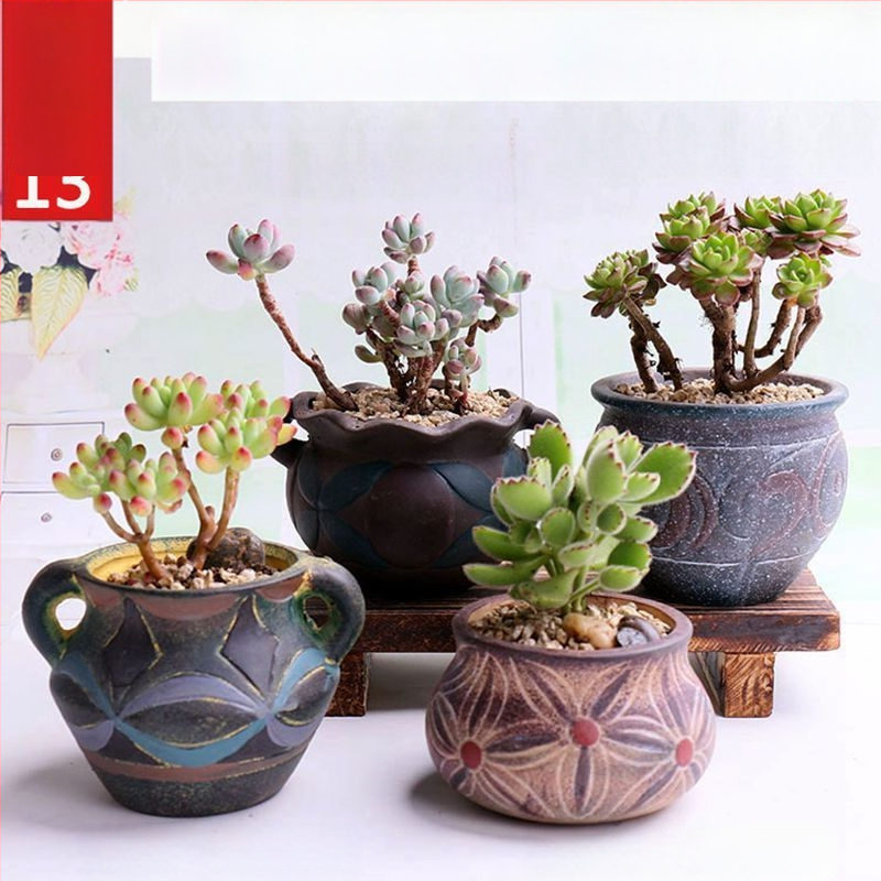 Keraminė sukulentų vaza, kvėpuojanti, stovinti ant grindų, modernus minimalistinis stilius