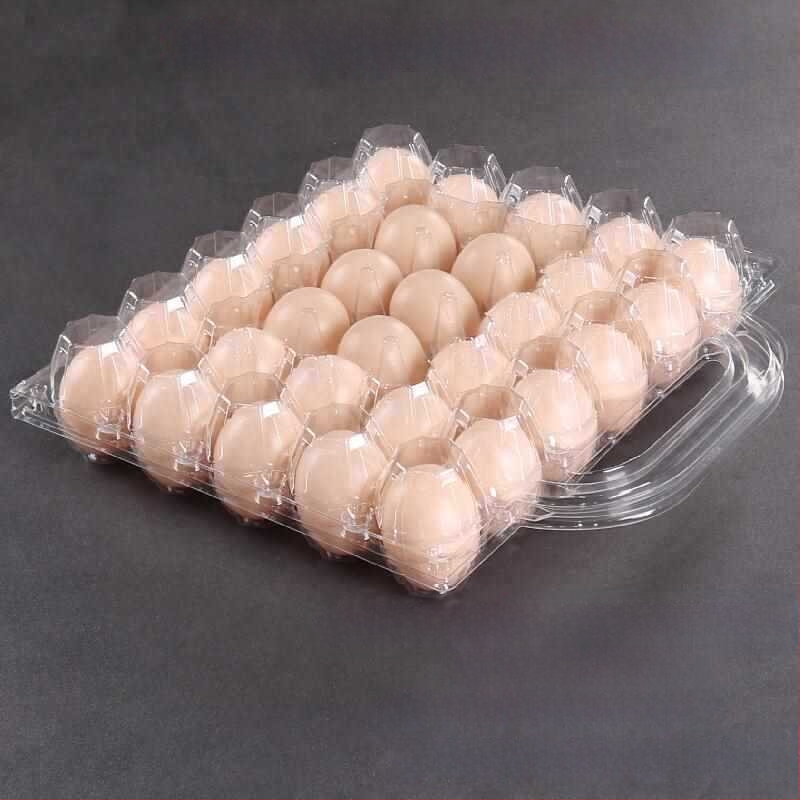 Ръчно преносима пластмасова кутия за яйца с прозрачно блистерно опаковане