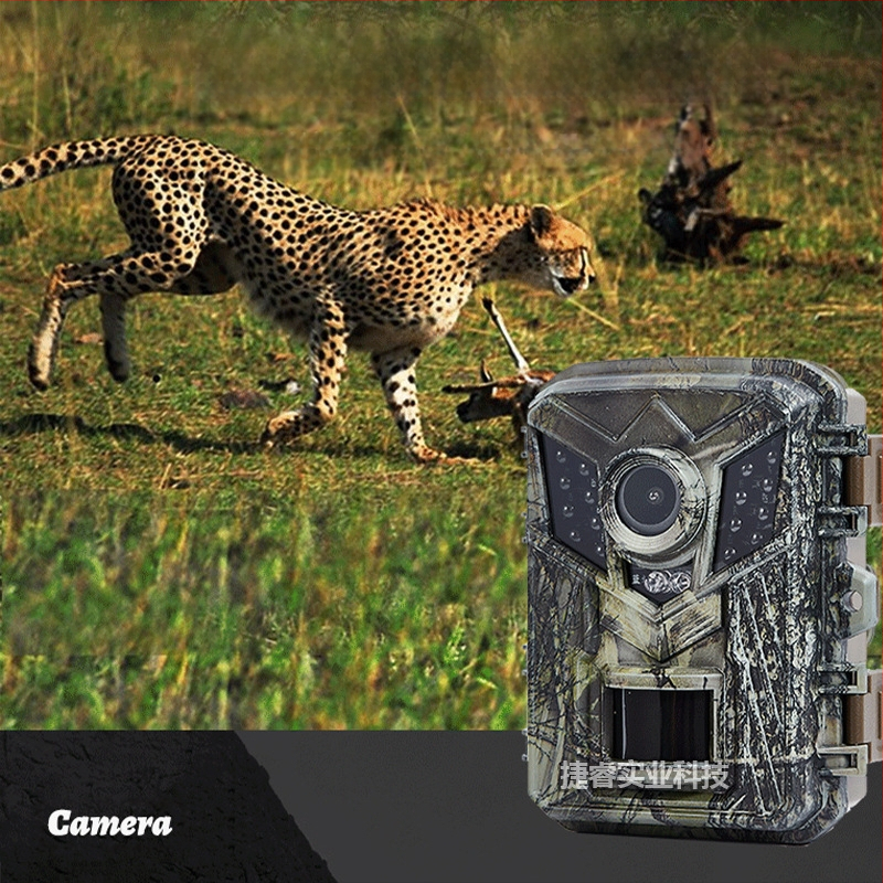 Kültéri infravörös vadászkamera éjszakai látással, HD felvétel, mozgásérzékelés/nyomkövetés, memóriakártya-támogatás, 2.0 hüvelykes LCD