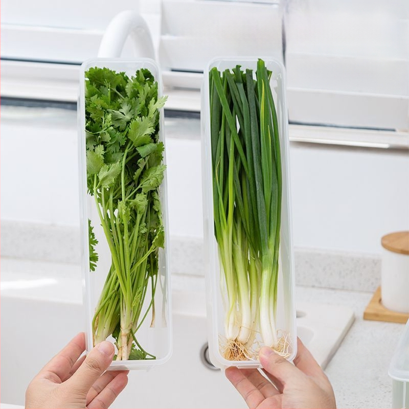 Šaldytuvo laikymo dėžutė kalendrai ir žaliesiems svogūnams — šiaurietiškas stilius, sidabro spalvos metalas, neįprasta forma