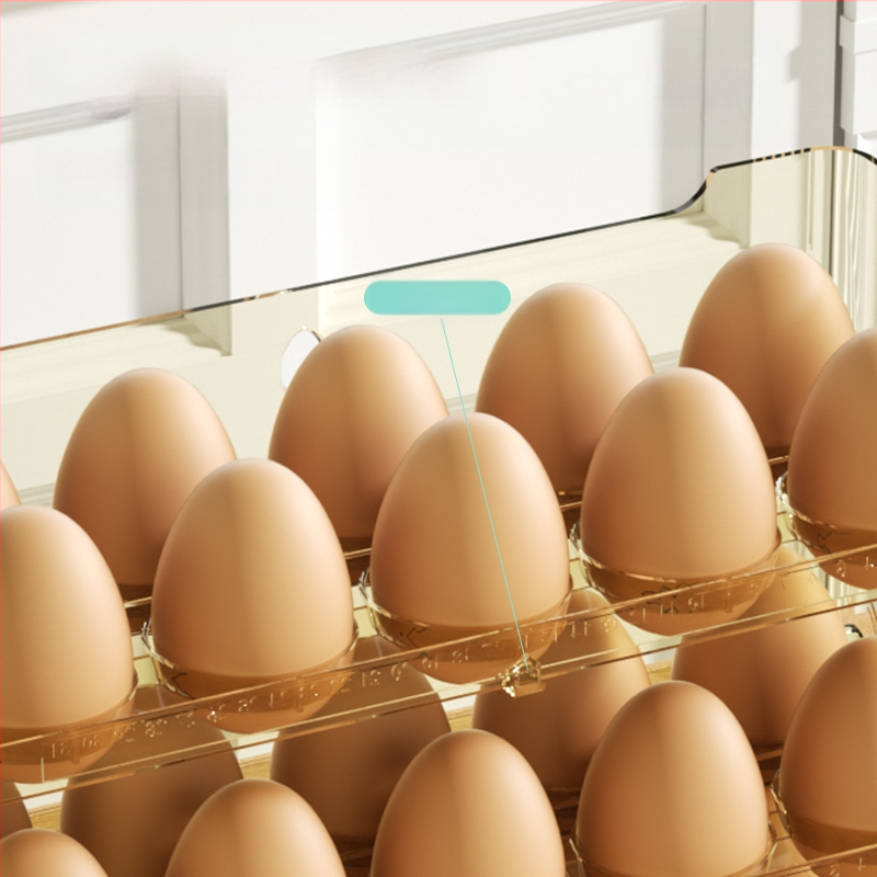 Kiaušinių laikymo dėžutė šaldytuvo šoninėms durims, Nordic stilius, Medžiaga: Metalas, Forma: Kita