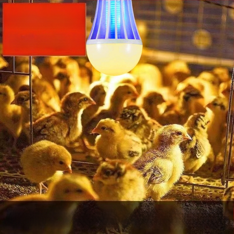 LED λαμπτήρας εξολόθρευσης κουνουπιών για φάρμες κοτοπουλών – LED πηγή φωτός, κάλυψη 41-60㎡, μέθοδος εξολόθρευσης: ακτινοβολία φωτός + ηλεκτρικό σοκ, ABS περίβλημα, πλέγμα νικελίου-ψευδάργυρου-σιδήρου