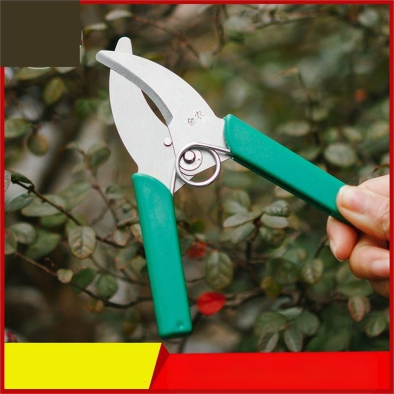 Ψαλίδια Κοπής Δαχτυλιδιών – Κοπτικό Δαχτυλίδι για Αμπέλια, Κλάδους και Φρούτα Δέντρων – Pride surplus; Υλικό: Άλλο; Εισαγωγή: Όχι
