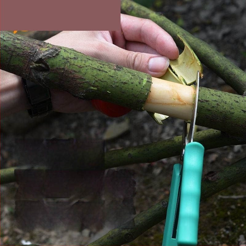 Ψαλίδια Κοπής Δαχτυλιδιών – Κοπτικό Δαχτυλίδι για Αμπέλια, Κλάδους και Φρούτα Δέντρων – Pride surplus; Υλικό: Άλλο; Εισαγωγή: Όχι