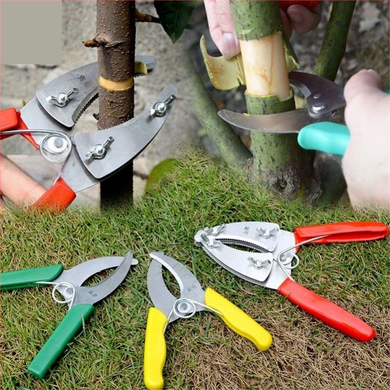 Ψαλίδια Κοπής Δαχτυλιδιών – Κοπτικό Δαχτυλίδι για Αμπέλια, Κλάδους και Φρούτα Δέντρων – Pride surplus; Υλικό: Άλλο; Εισαγωγή: Όχι