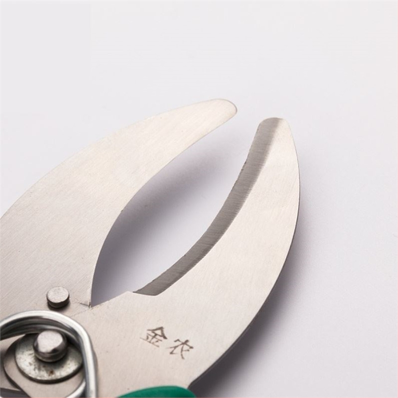 Ψαλίδια Κοπής Δαχτυλιδιών – Κοπτικό Δαχτυλίδι για Αμπέλια, Κλάδους και Φρούτα Δέντρων – Pride surplus; Υλικό: Άλλο; Εισαγωγή: Όχι