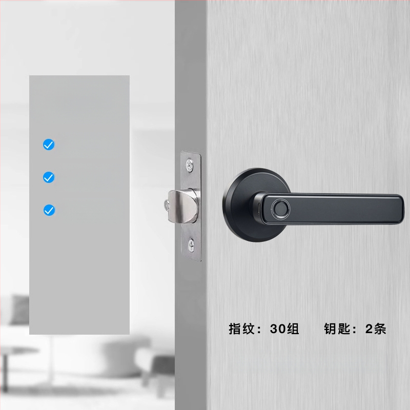 Κλειδαριά με αναγνώριση δακτυλικού αποτυπώματος για εσωτερικές ξύλινες πόρτες, με κωδικό πρόσβασης, σφαιρική λαβή, μοντέλο 130/190, τροφοδοσία DC