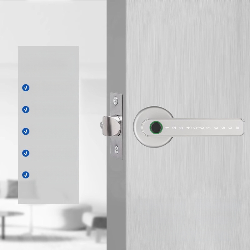 Κλειδαριά με αναγνώριση δακτυλικού αποτυπώματος για εσωτερικές ξύλινες πόρτες, με κωδικό πρόσβασης, σφαιρική λαβή, μοντέλο 130/190, τροφοδοσία DC