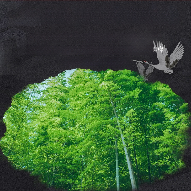 Флейта MUTONG, модел 203, характеристики CDEFG, опаковка: платнена чанта