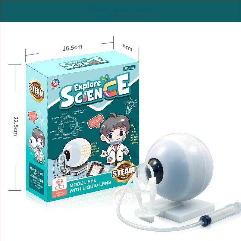 Bioloģijas/ķīmijas izglītojošā rotaļlieta orgānu un skeleta salikšanai — Tengxin, plastmasa, vecums no 7 līdz 14 gadiem