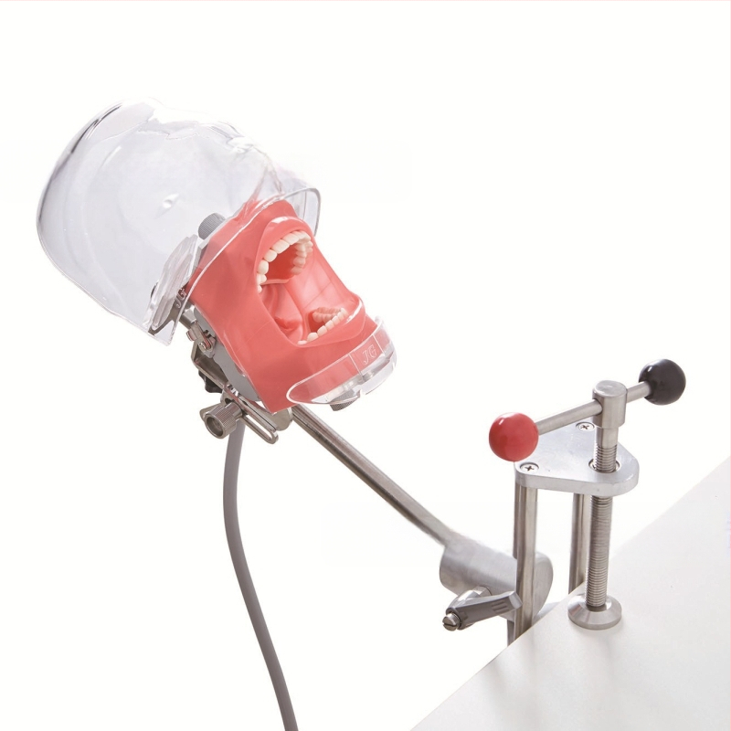 Дентален обучителен модел на глава със сваляем формов модул – устен модел от смола за обучение (6 броя)