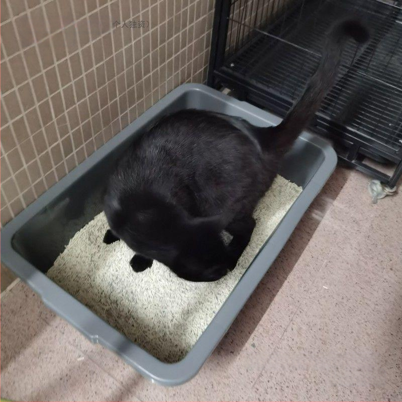 Ορθογώνια πλαστική λεκάνη, πτυσσόμενη, μοντέλο 08888