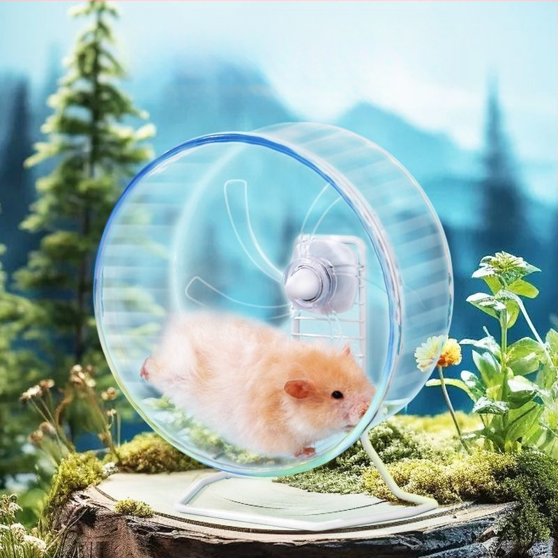 Caurspīdīgs hamsters skrējiens rats ar anti-jam dizainu, kluss darbs, PP materiāls