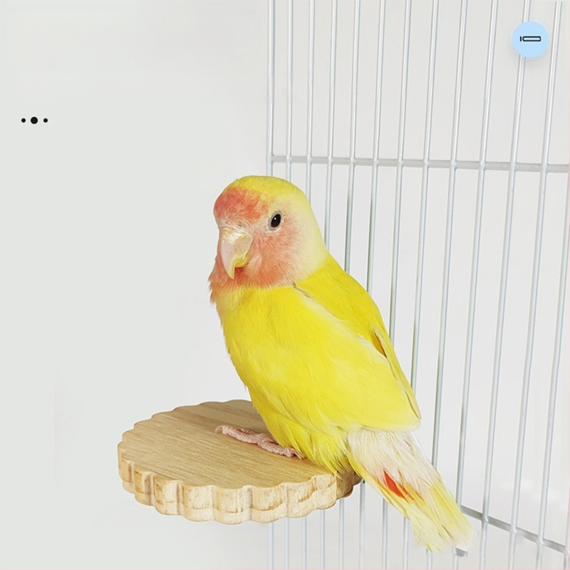 Medinė platforma paukščiams narve — šuolio ir poilsio platforma naminiams gyvūnėliams (Prekės kodas: 240711007; Importuotas: Ne; Rūšis: Paukštis)