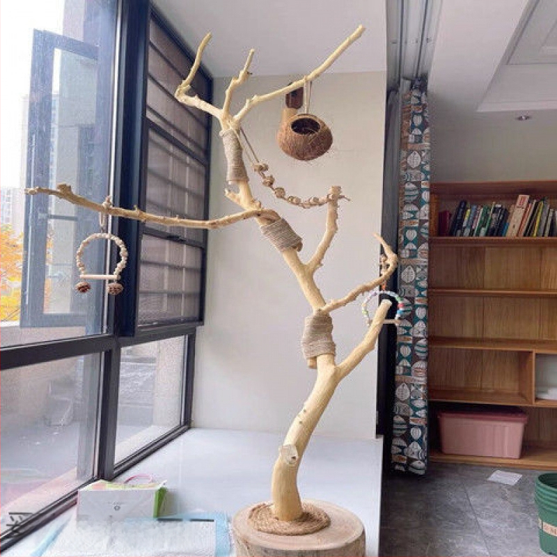 Dabas žāvēti zari no sudrabkrāsas vītolu (Silver willow), bez krāsas, paredzēti sienu dekorēšanai; ar putnu sēdēšanas formām un sienas pakaramājs