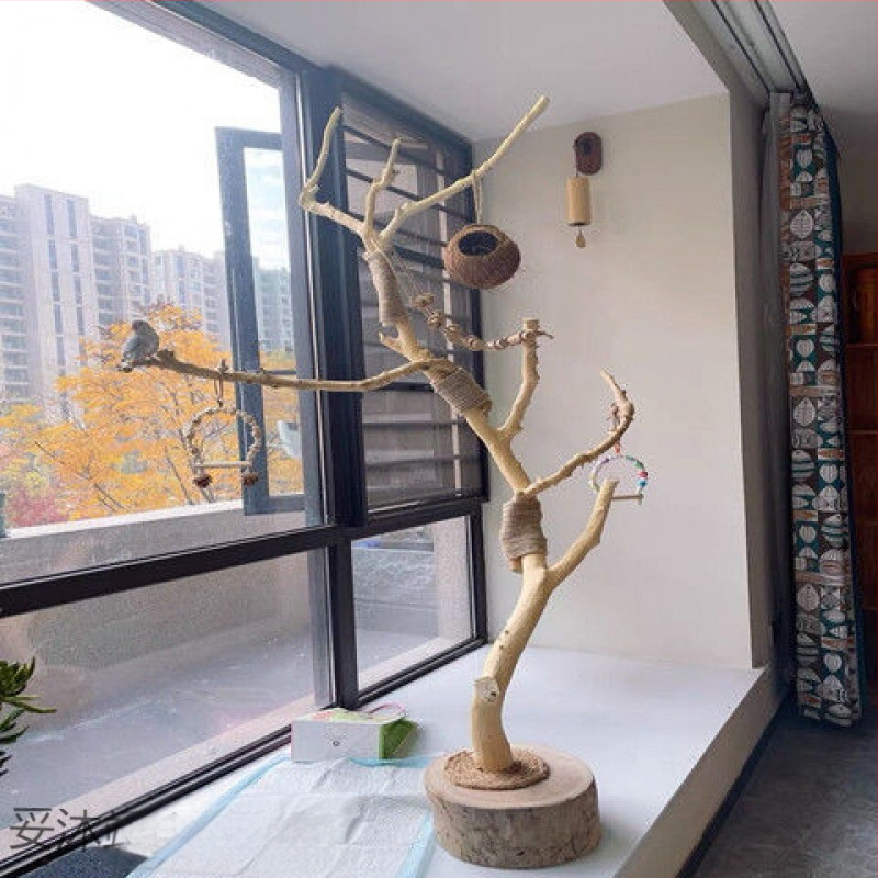 Dabas žāvēti zari no sudrabkrāsas vītolu (Silver willow), bez krāsas, paredzēti sienu dekorēšanai; ar putnu sēdēšanas formām un sienas pakaramājs