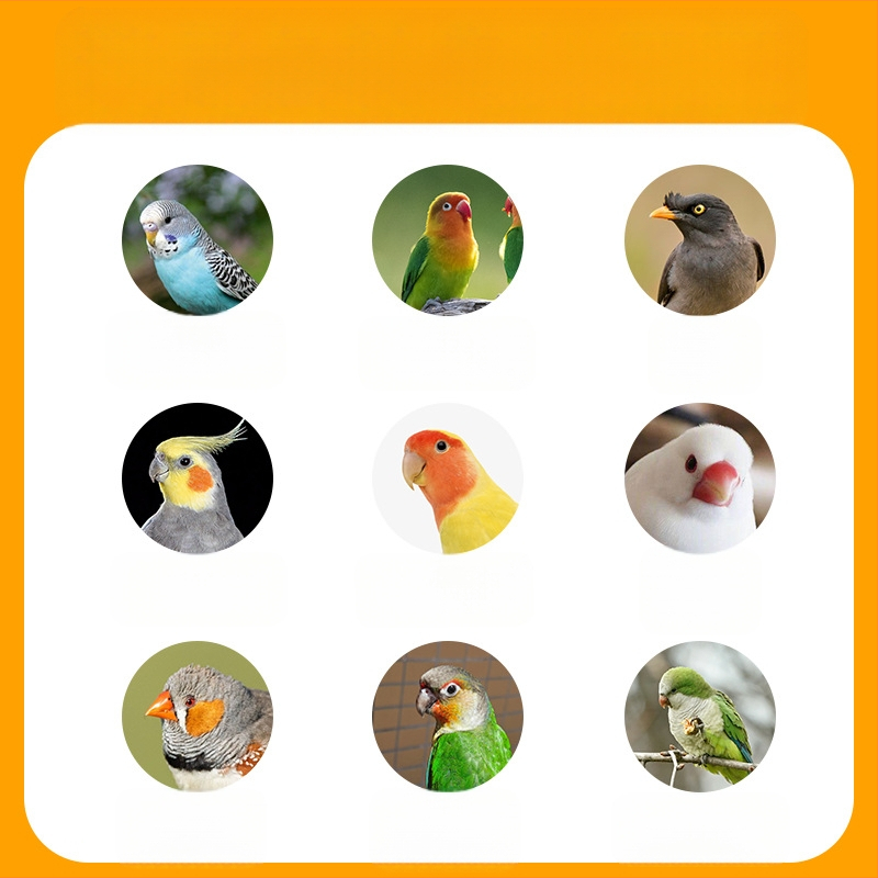 Птична купалня за папагали и малки птици – мотив тигрова кожа и пион, стил Черна феникс