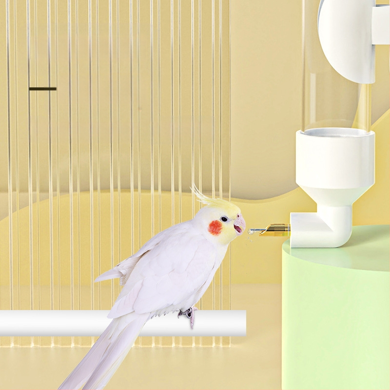 Putnu automātā ūdens padeve - Plastmasa, Weibi zīmols, 50 gab. iepakojumā, piemērots akvārijam