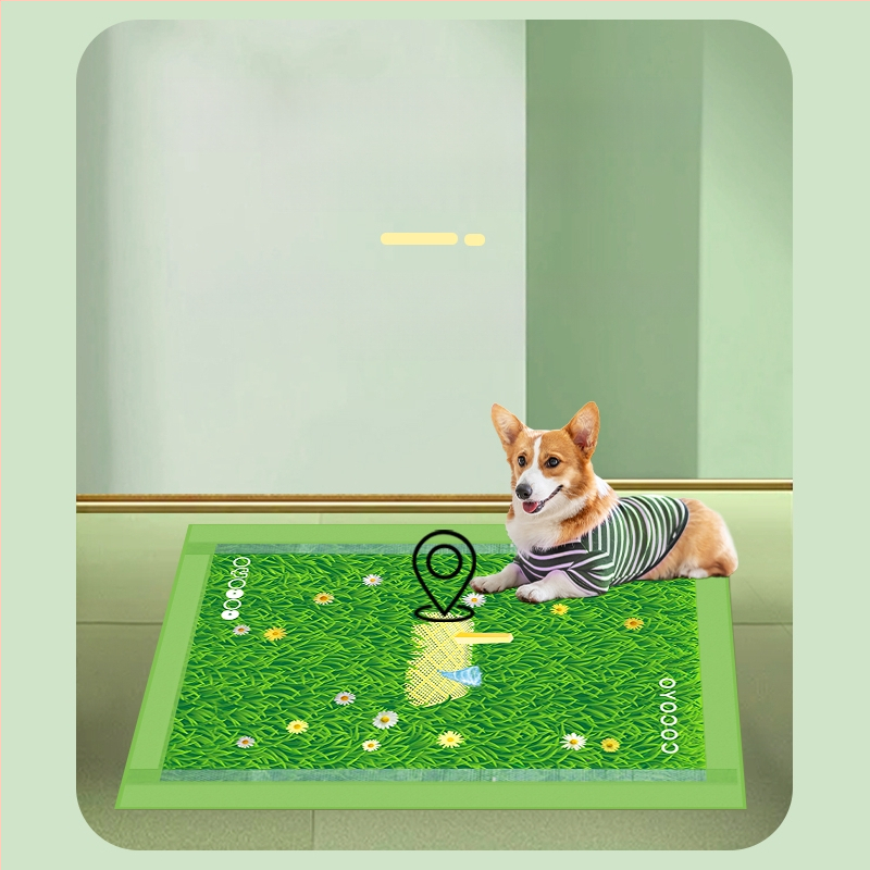 Cocoyo šunų šlapimo kilimėlis, Natural Standard serija, ProMax absorbuojantis kilimėlis