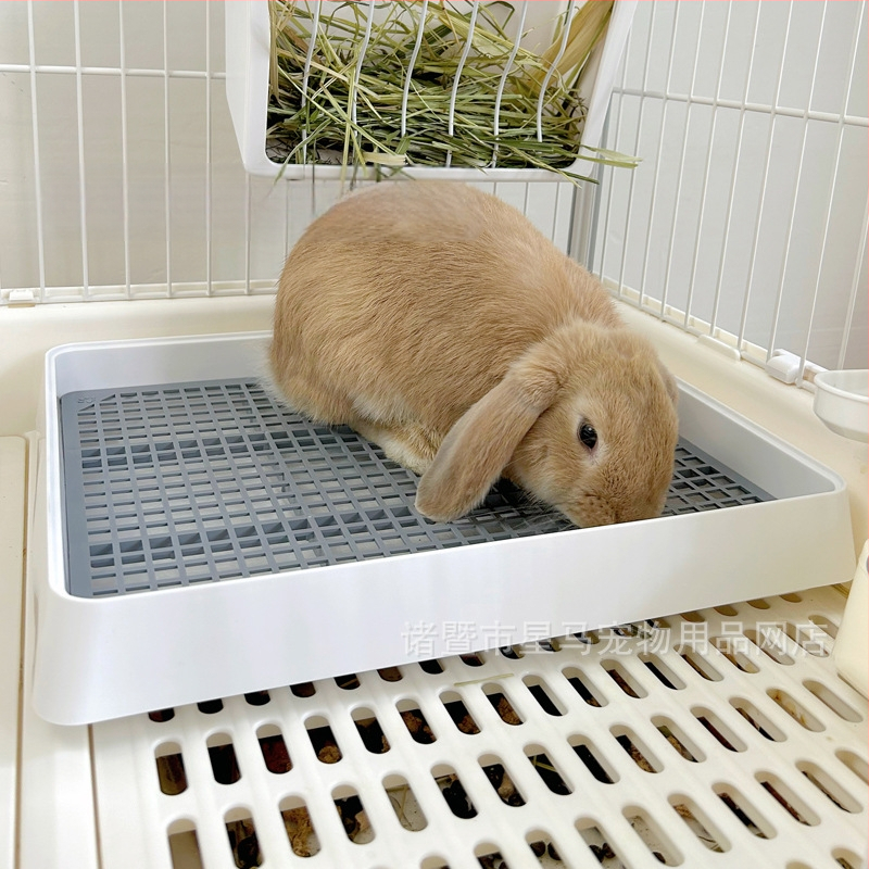 Уринарен пан за морско прасе и заек — без внос