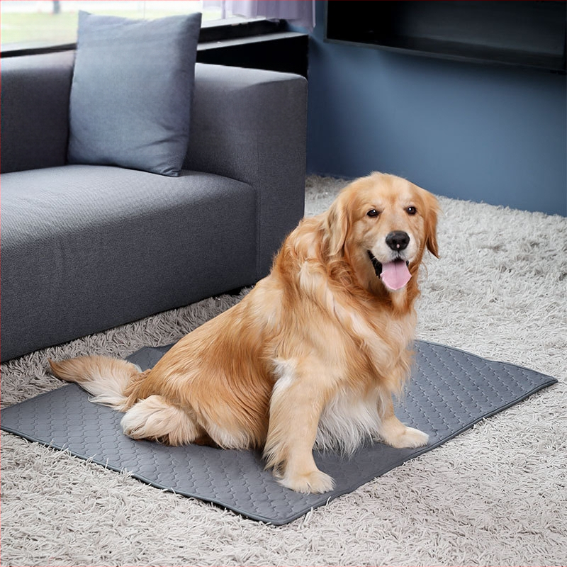 Πάτος ούρησης κατοικίδιου — αναδιπλούμενος, πλένεται, απορροφητικός και επαναχρησιμοποιούμενος, για οικιακή χρήση. Μάρκα: Jiaxing Yafu Pet Products