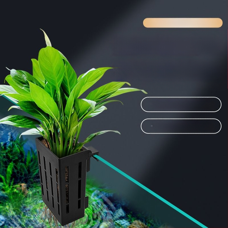 Κρεμαστό στον τοίχο γλάστρα για υδροπονική φύτευση σε ενυδρείο – διακοσμητική καλαθούλα για υδρόβια φυτά